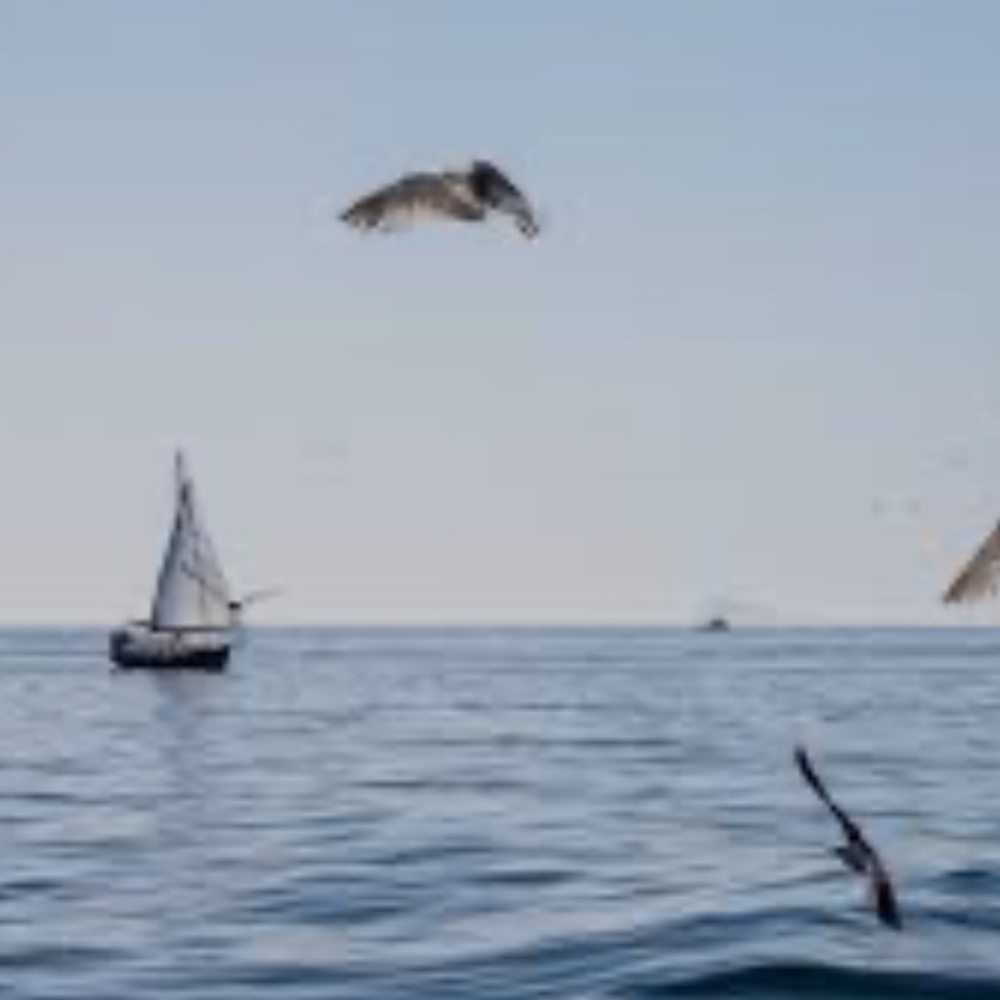 Meet your Posher, MW